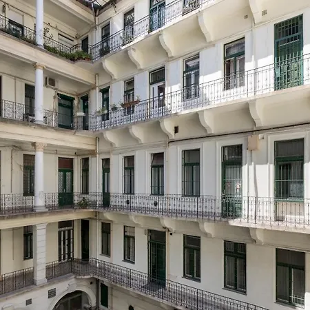 Three Cats 布达佩斯