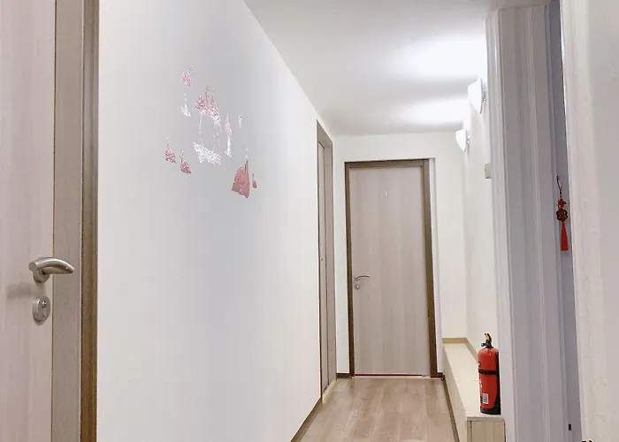 Three Cats 게스트하우스 3*