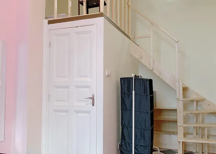 Three Cats 부다페스트